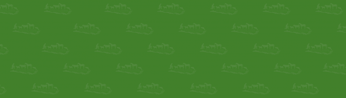 fondo-03.png
